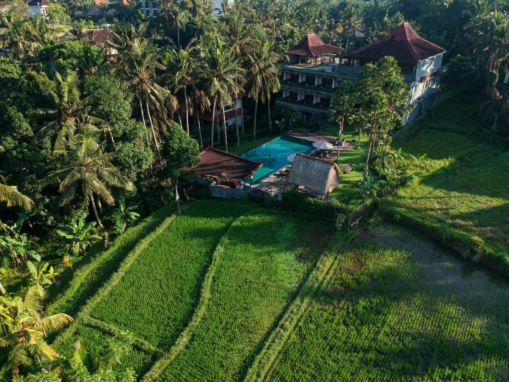 Luxbali
