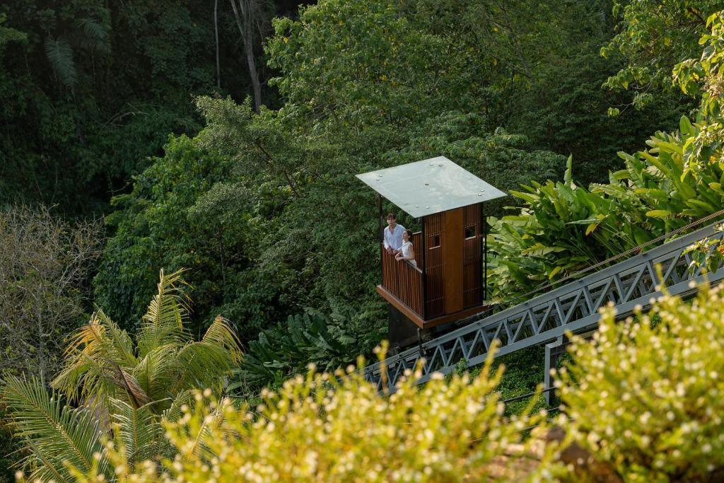 luxbali